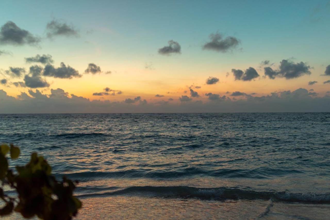 Wow Retreat Ξενοδοχείο Felidhoo Εξωτερικό φωτογραφία