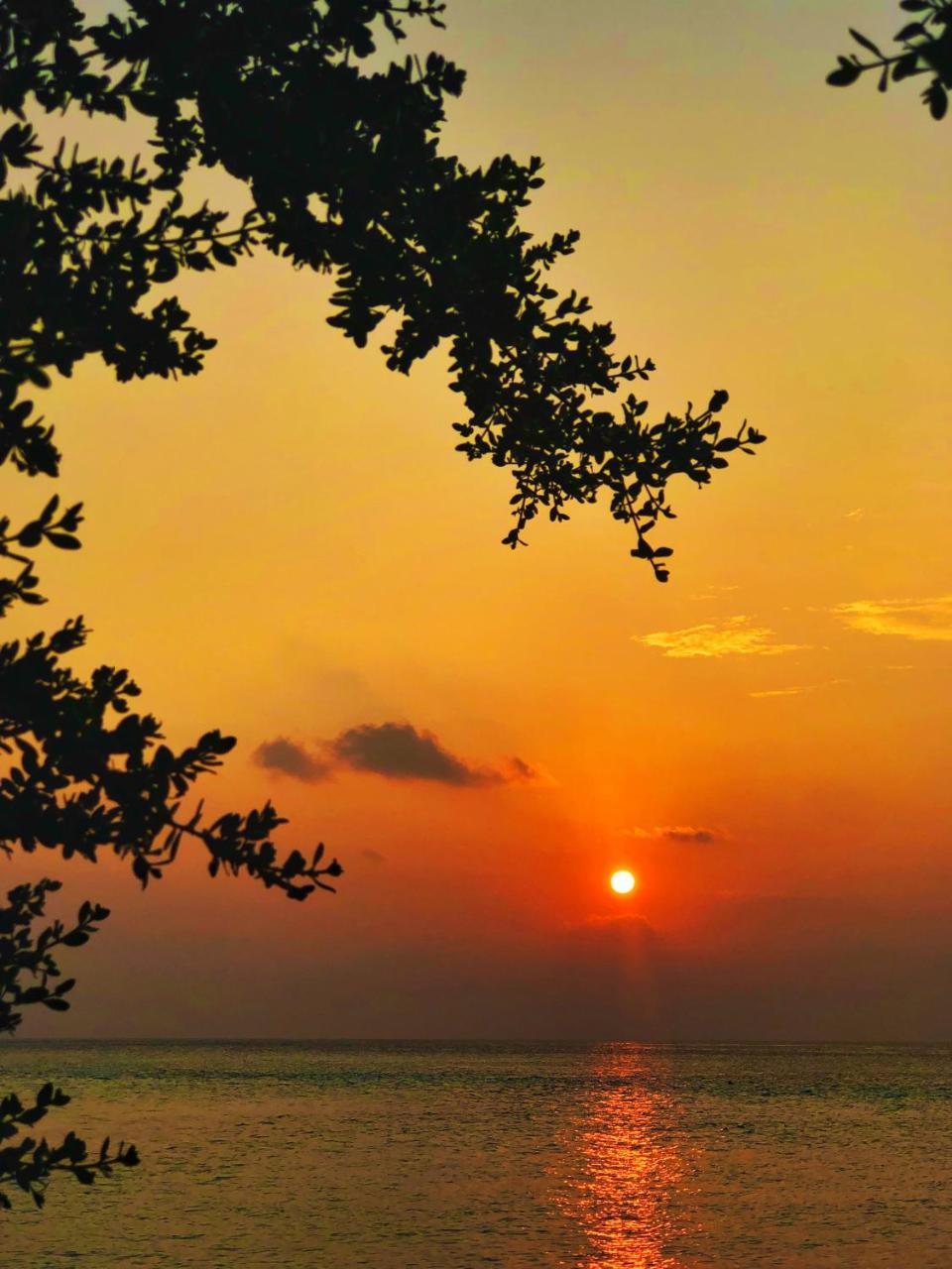 Wow Retreat Ξενοδοχείο Felidhoo Εξωτερικό φωτογραφία