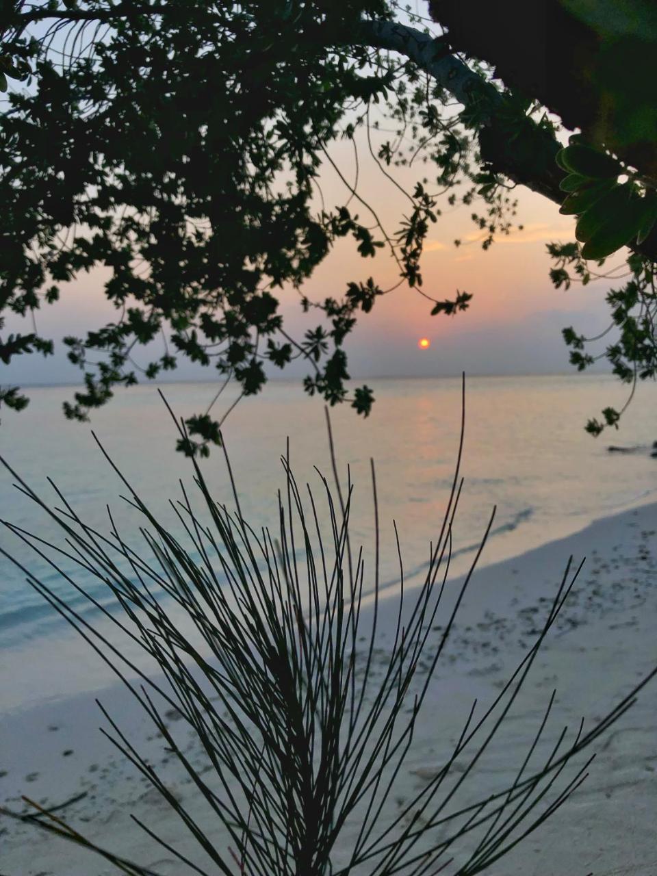Wow Retreat Ξενοδοχείο Felidhoo Εξωτερικό φωτογραφία