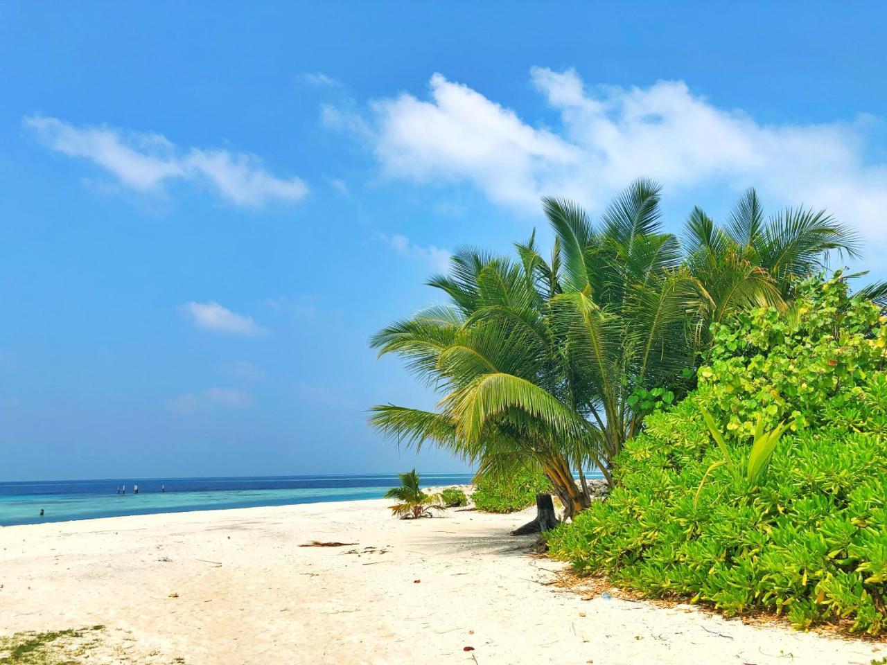 Wow Retreat Ξενοδοχείο Felidhoo Εξωτερικό φωτογραφία