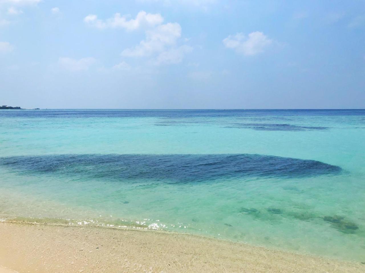 Wow Retreat Ξενοδοχείο Felidhoo Εξωτερικό φωτογραφία