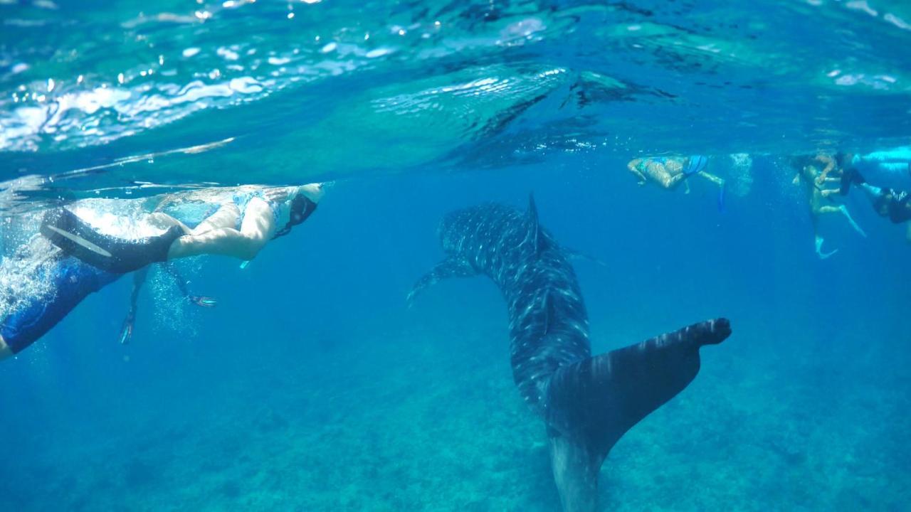 Wow Retreat Ξενοδοχείο Felidhoo Εξωτερικό φωτογραφία